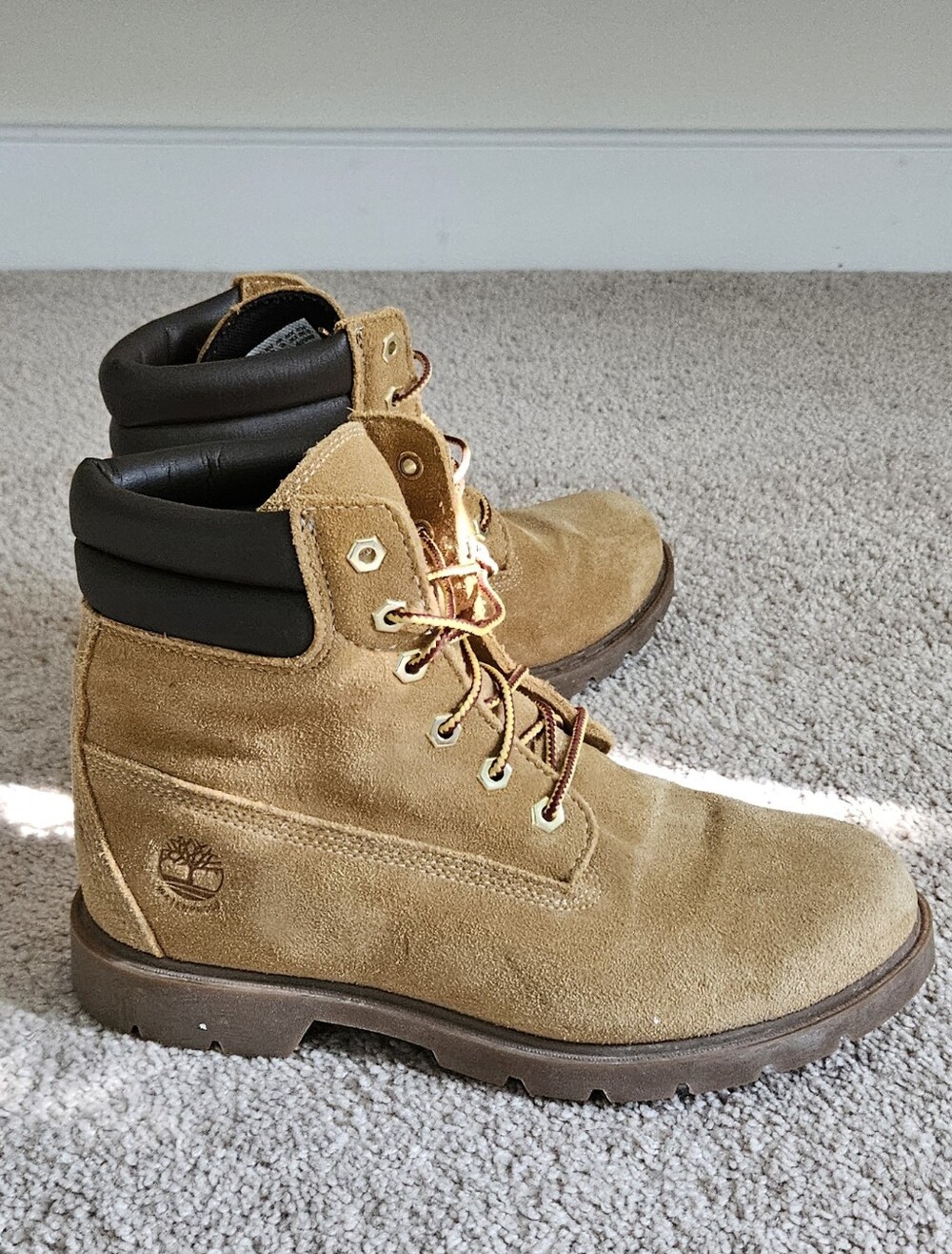 Women's Timberland® Premium 6-Inch Waterproof Boot